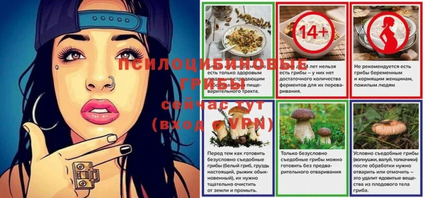 тгк Алзамай