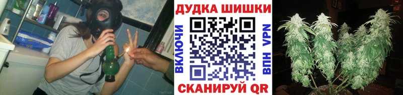 Бошки марихуана сатива  Зеленодольск 